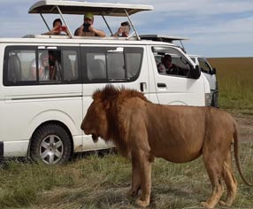 kenya tour