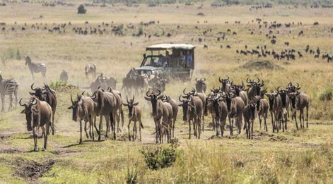 aaasai mara national reserve